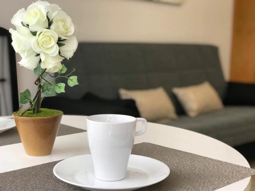 Del Cura Beach Apartment Торевиеха Екстериор снимка